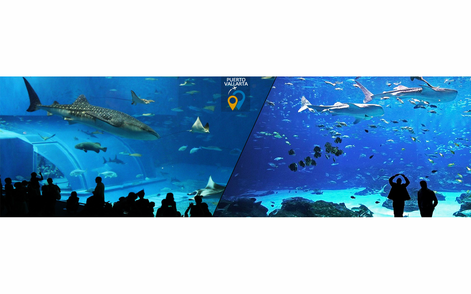 Nouvel aquarium de Puerto Vallarta
